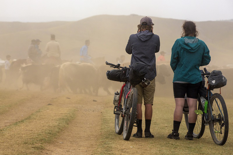 mongolia riding tours 